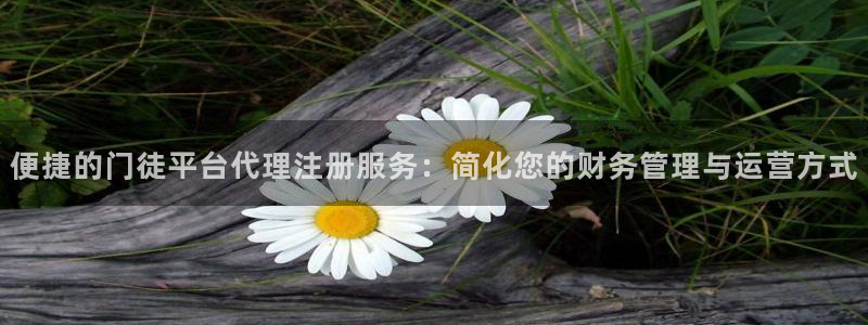 杏悦3登录：便捷的门徒平台代理注册服务：简化您的财务管理与运营方式