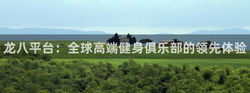 德国杏悦集团：龙八平台：全球高端健身俱乐部的领先体验