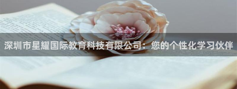 杏悦体育官网：深圳市星耀国际教育科技有限公司：您的个性化学习伙伴