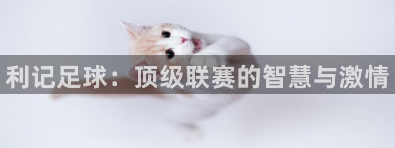 杏悦平台开户：利记足球：顶级联赛的智慧与激情