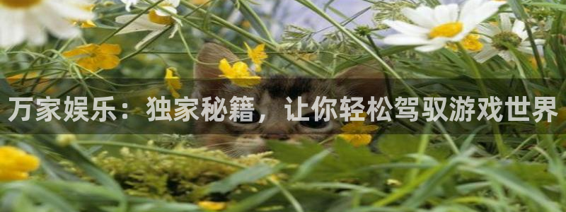 杏悦主管：万家娱乐：独家秘籍，让你轻松驾驭游戏世界