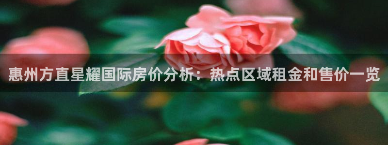 杏悦官网：惠州方直星耀国际房价分析：热点区域租金和售价一览