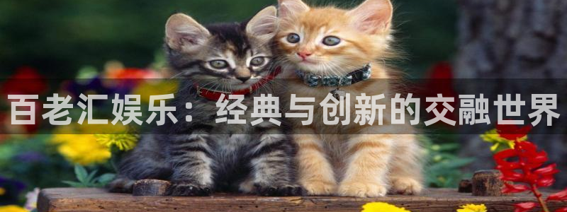 杏悦vk：百老汇娱乐：经典与创新的交融世界