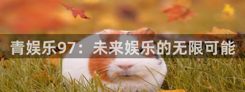 杏悦4登录：青娱乐97：未来娱乐的无限可能
