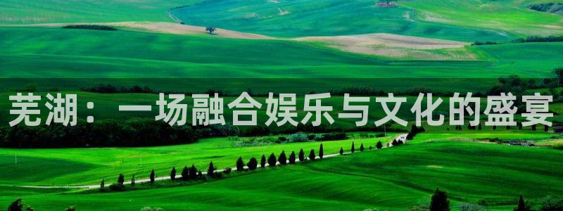 杏悦体育1招商：芜湖：一场融合娱乐与文化的盛宴