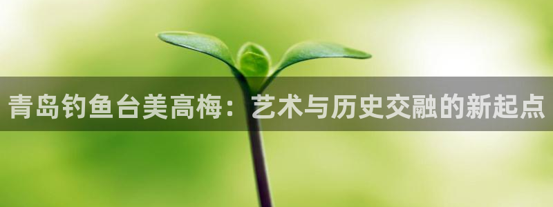 杏悦3平台注册：青岛钓鱼台美高梅：艺术与历史交融的新起点