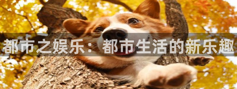杏悦体育注册登录入口：都市之娱乐：都市生活的新乐趣