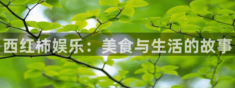 杏悦体育娱乐注册链接：西红柿娱乐：美食与生活的故事