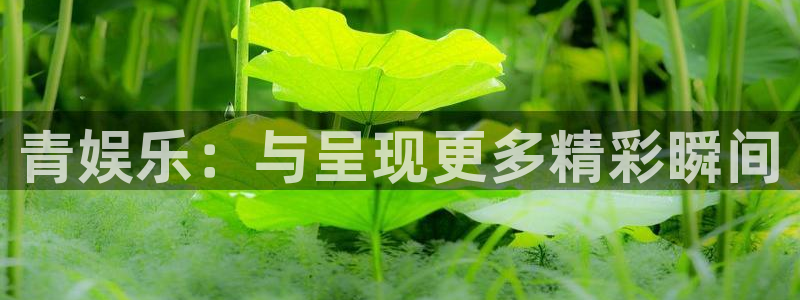 杏悦电子有限公司：青娱乐：与呈现更多精彩瞬间
