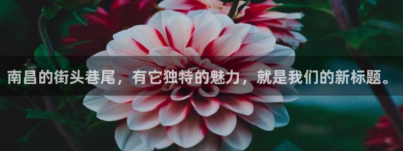 杏悦零能源集团：南昌的街头巷尾，有它独特的魅力，就是我们的新标题。