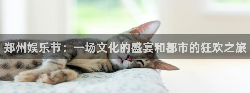 福建杏悦机电股份公司：郑州娱乐节：一场文化的盛宴和都市的狂欢之旅