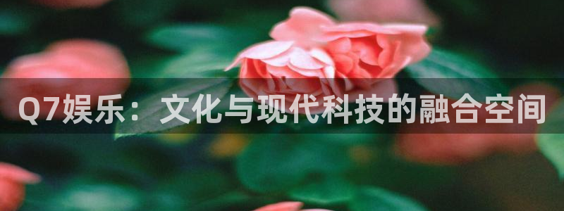 杏悦平台开户：Q7娱乐：文化与现代科技的融合空间