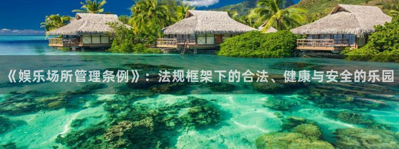 上海杏悦汽车电子有限公司：《娱乐场所管理条例》：法规框架下的合法、健康与安全的乐