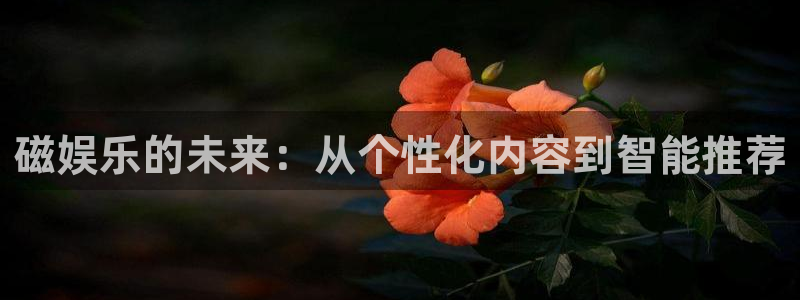 上海杏悦汽车电子有限公司：磁娱乐的未来：从个性化内容到智能推荐