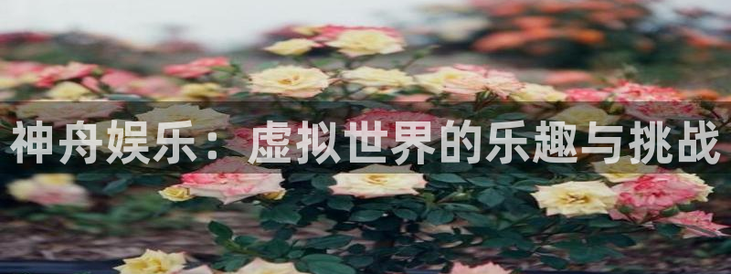 杏悦凯捷开号链接：神舟娱乐：虚拟世界的乐趣与挑战