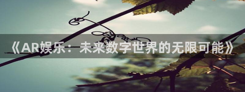 杏悦平台在线开户：《AR娱乐：未来数字世界的无限可能》